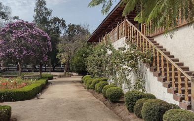 Jardín al costado de una casa